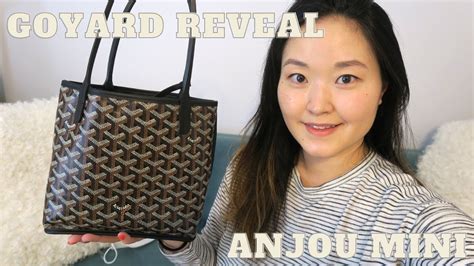 goyard mini anjou price 2024|goyard anjou mini dupe.